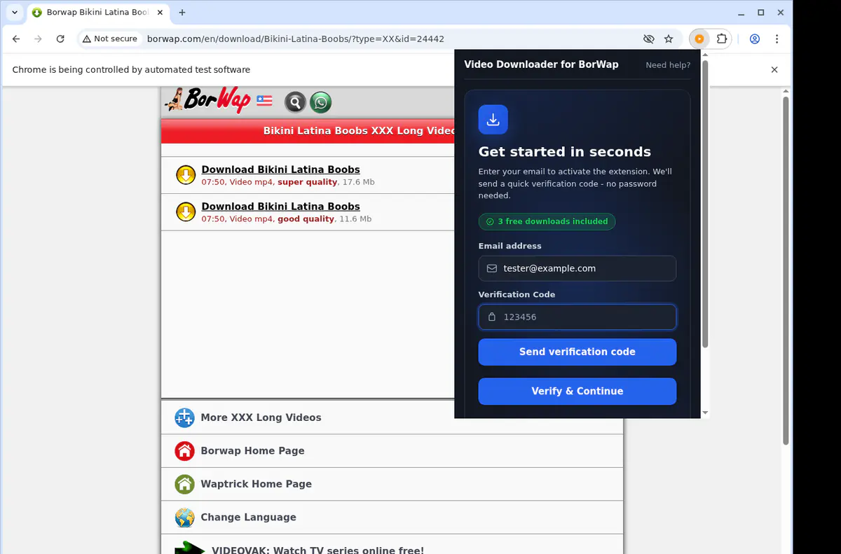 Borwap Video Downloader browser extension screenshot 2