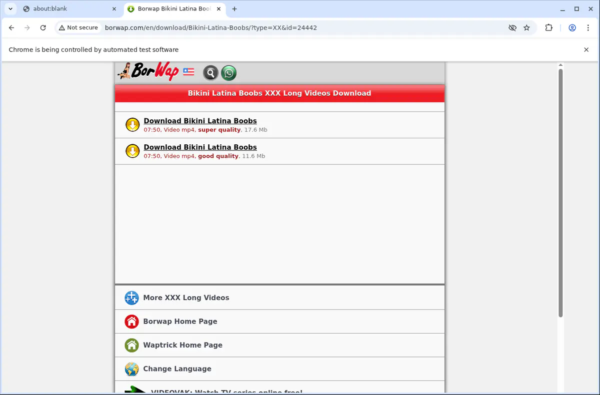 Borwap Video Downloader browser extension screenshot 4